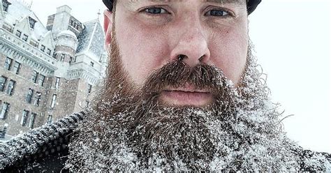 Winter Beard Album On Imgur