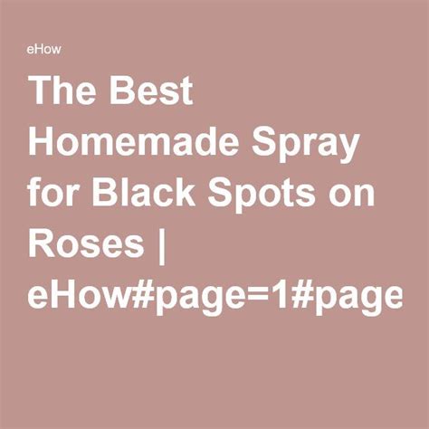 The Best Homemade Spray For Black Spots On Roses Hunker Black Spot On Roses Black Spot Spray