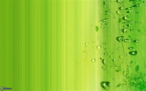 Fondos De Color Verde Agua Imagui