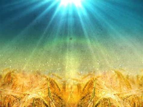 Історично склалося так, що християнські церкви читали афанасіївській символ віри в троїцьке неділю. Динаміка світових ринків зернових вказує на ймовірність ...