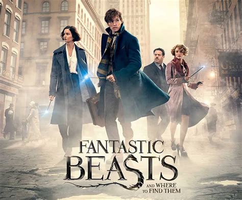 Fantastic Beasts And Where To Find Them Available To Pre Order Hd