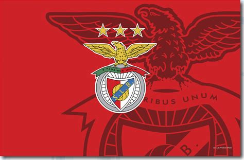 Sporting covilha v benfica b. Bandeira C/Capucho SLB Benfica