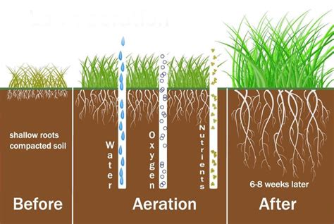Aeration Schedule Lawn Aeration To Improve Health Of Turf