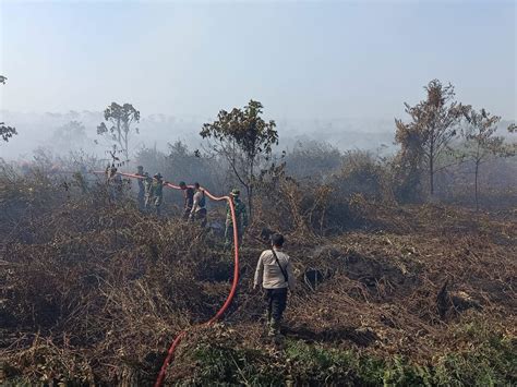 Polda Aceh Bakal Tindak Pelaku Pembakaran Hutan