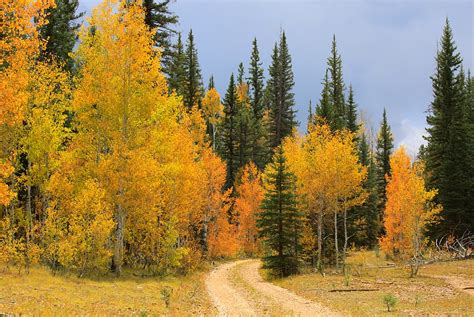 4 Fantastic Northern Arizona Hikes For Fall Colors Williams Grand