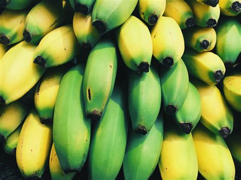 Green Banana Beside Yellow Banana · Free Stock Photo