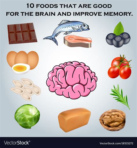 10 Foods That Are Good For The Brain And Improve Vector Image