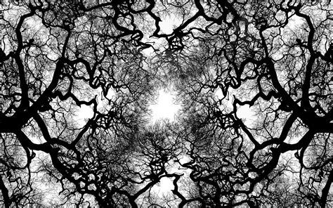 Choose from hundreds of free tree pictures. Cool Abstract Tree Abstract Cool Tree Wallpaper | Chainimage