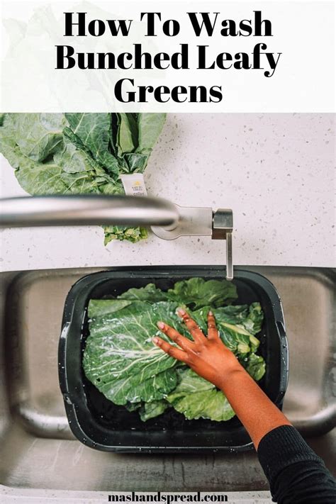 How To Wash Bunched Leafy Greens Mash And Spread Collar Greens Fruit