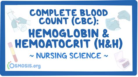 Complete Blood Count Cbc Hemoglobin And Hematocrit Nursing