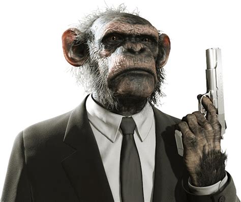 Karima Taher The Monkey With A Gun