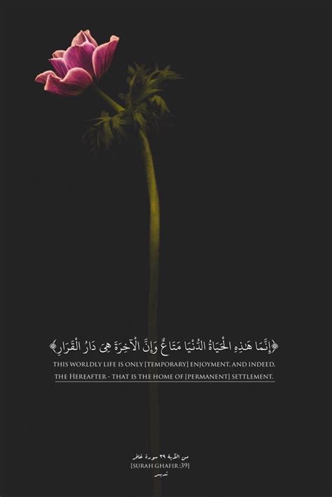Hati sedih, tak tenang baca surah ghafir ayat 44 berulang kali. Surah Ghafir (The Forgiver) #Quran 40:39 | 1000 in 2020 ...
