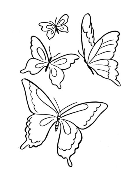 Disegno Da Colorare Farfalla
