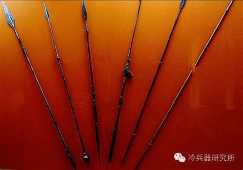 56866 12 3 4 5 6 7 8 9 10. 讓人類登上食物鏈頂端的武器：標槍 - 每日頭條