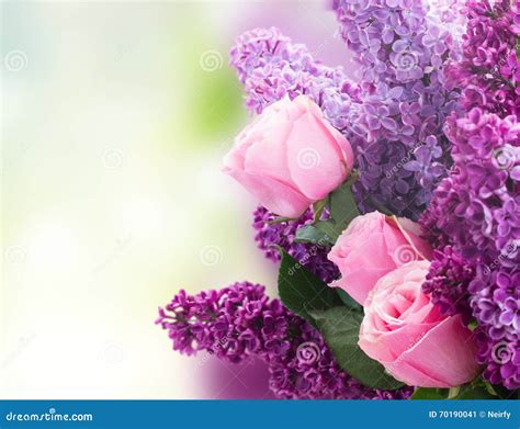Lilac Flowers With Roses Stock Image Image Of Bunch 70190041