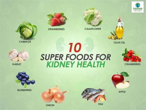 What Foods Can Improve Kidney Function