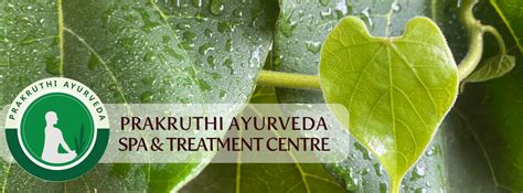 Murivenna Jojos Prakruthi Ayurveda Spa And Treatment Centre