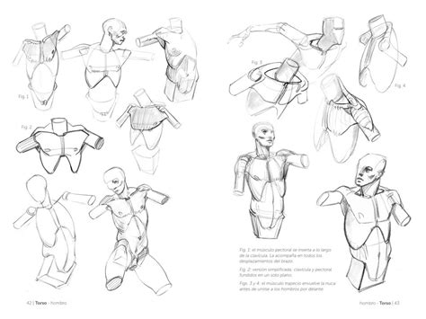 Anatomía Artística 2 De Michel Lauricella Editorial Gg