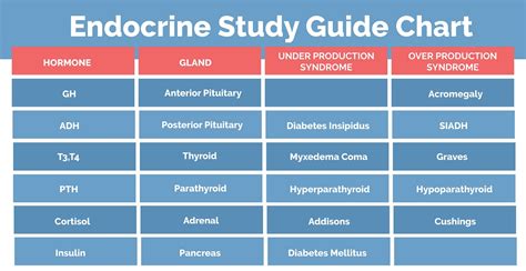 Endocrine System Study Guide - NCLEX Quiz