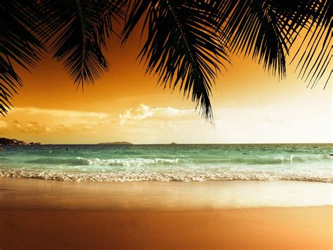 Sunset Beach Sand Wallpaper Wallpaper Download