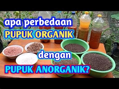 Apa Perbedaan Pupuk Organik Dengan Anorganik Youtube