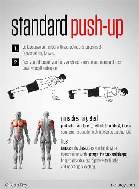 Standard Push-Up + Muscle Map | Push up muscles, Fitness tips, Healthy