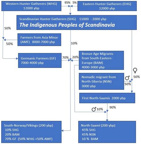 Saami Dna Saami Genetic Origin