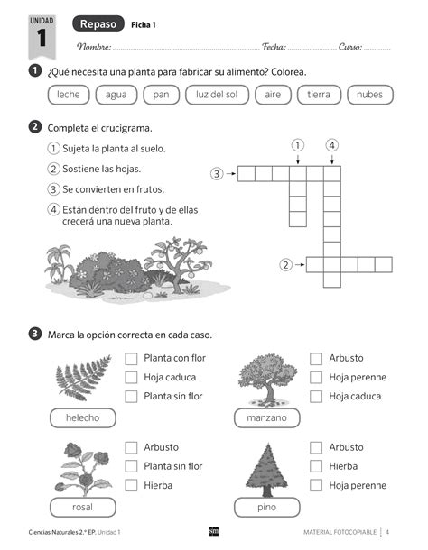 REPASO Y AMPLIACIÓN CIENCIAS NATURALES 2º PRIMARIA - Docsity