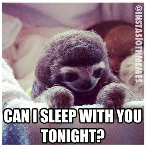 Cute Or Creepy Baby Sloth Sloth Meme Sloth