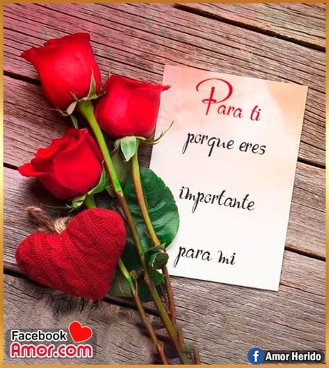 Imágenes De Rosas Rojas Con Frases De Amor