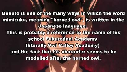 Haikyuu Facts Bokuto Anime Curators Koutarou Keiji