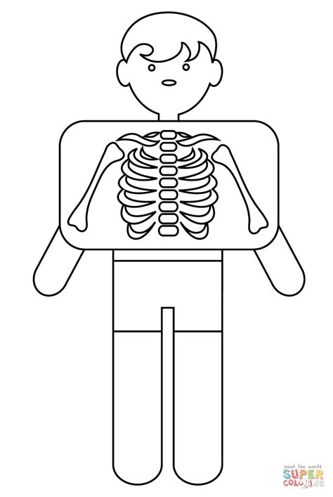 X Ray Coloring Page Free Printable Coloring Pages