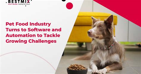 Pet Food Industry Turns To Software And Automation To Tackle Growing