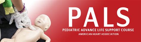 A Guide To Inscols Pediatric Advance Life Support Course Pals Inscol