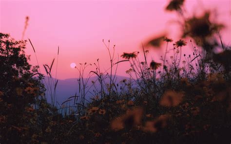 Download Wallpaper 3840x2400 Landscape Grass Sun Mountains Sunset