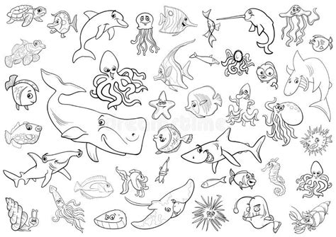 Sea Animals Coloring Page Stock Illustrations 1564 Sea Animals