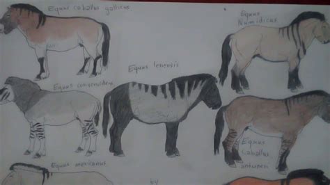 Prehistoric Horses Genus Equus Youtube