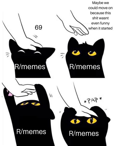 Nice Cat Cat Pap Know Your Meme