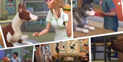 The Sims 4 Cats And Dogs Veterinarian Official Gameplay Trailer