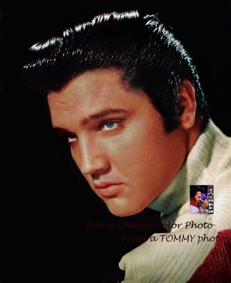Elvis In The 50s