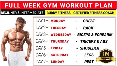 Full Week Gym Workout Plan For Beginners And Intermediates Buddy Fitness