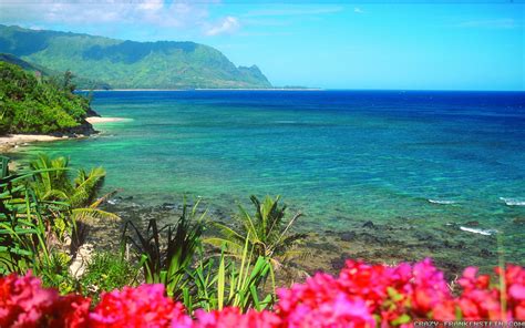 Hawaii Desktop Backgrounds 64 Pictures