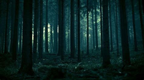 Dark Forest Wallpapers Hd Wallpaper Cave