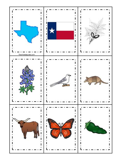 30 Texas State Symbol Educational Geography Games Made By Teachers