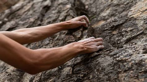 Rock Climbing Forearms Workout Training And Exercises