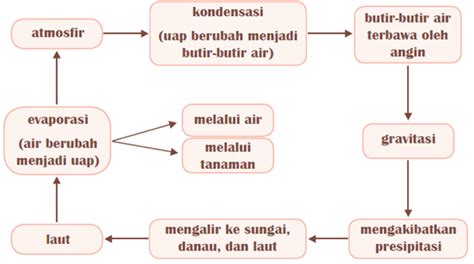 Susu kental manis membutuhkan lebih sedikit proses karena gula yang ditambahkan mencegah pertumbuhan bakteri. Memahami Struktur Teks Eksplanasi