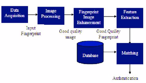 Architecture Of Fingerprint Verification System Download Scientific Diagram