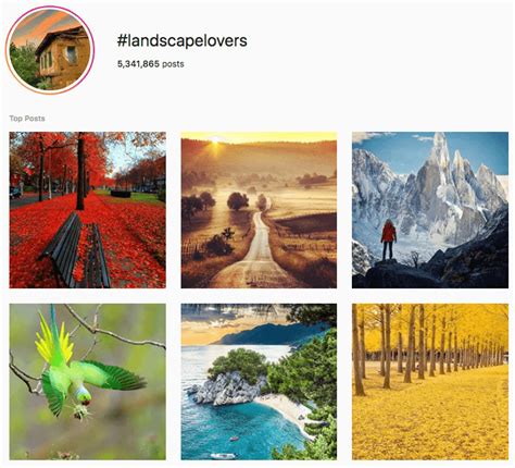 Free Best Instagram Hashtags For Landscape Photographers In Graphic