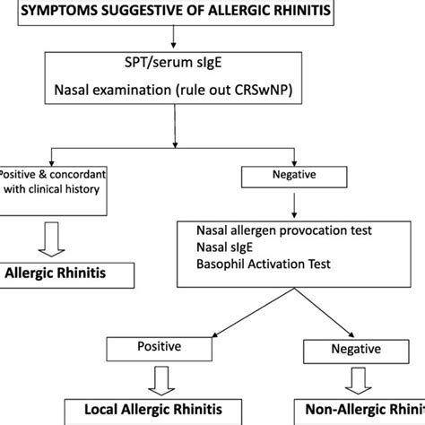 Mucosal Synthesis Of Ige In Allergic Rhinitis And Local Allergic