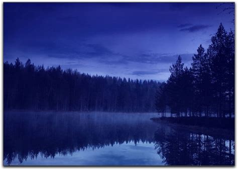 Forest And Lake At Night